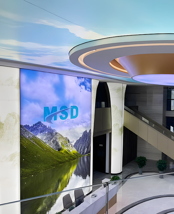 झेजियांग MSD ग्रुप शेयर कंपनी लिमिटेड